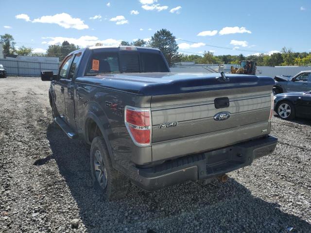 Photo 3 from auction – 2010 FORD F150 SUPER with VIN 1FTFX1EV1AFB66039