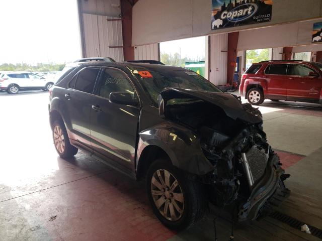 CHEVROLET EQUINOX LT 2011 with VIN 2CNFLNE51B6287180 - Photo from auction