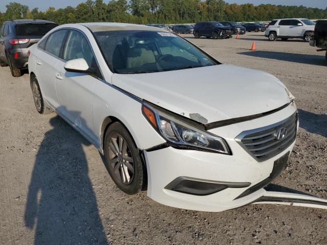 HYUNDAI SONATA SE 2016 with VIN 5NPE24AF1GH364211 - Photo from auction