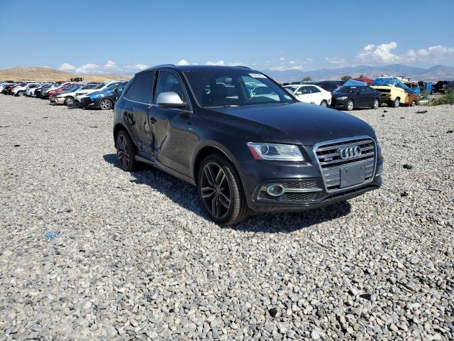 AUDI SQ5 PREMIU 2014 with VIN WA1CGAFP1EA007473 - Photo from auction