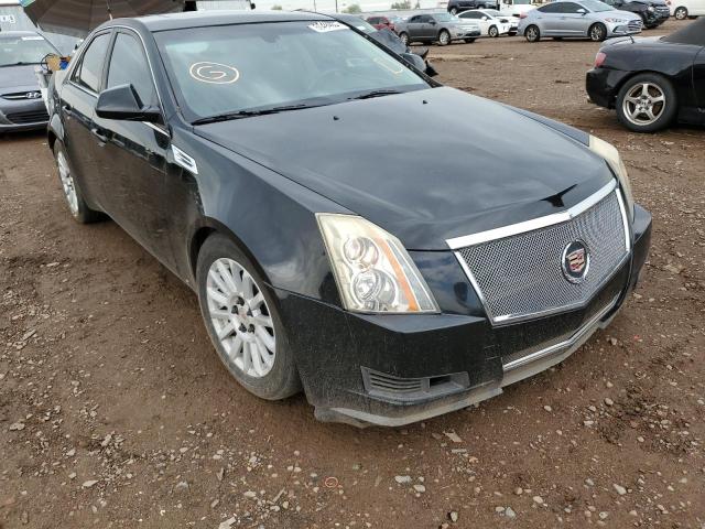 CADILLAC CTS HI FEA 2008 with VIN 1G6DR57V680175907 - Photo from auction