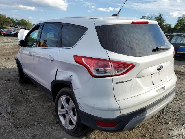 Photo 3 from auction – 2014 FORD ESCAPE SE with VIN 1FMCU9GX3EUB65660