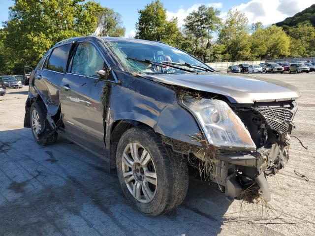 CADILLAC SRX LUXURY 2012 with VIN 3GYFNAE38CS614466 - Photo from auction