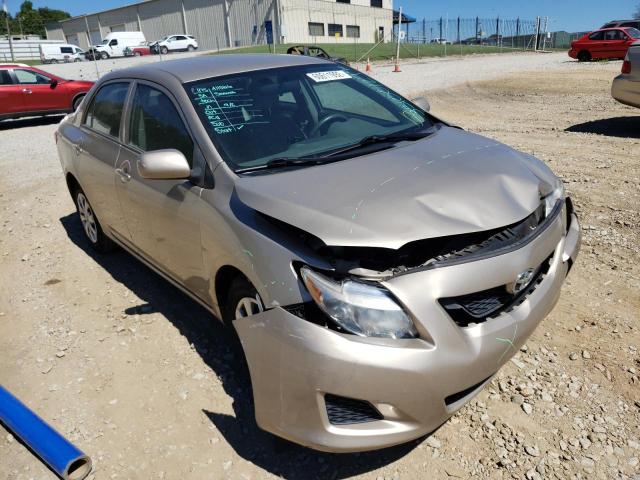 TOYOTA COROLLA BA 2010 with VIN 2T1BU4EE4AC496260 - Photo from auction