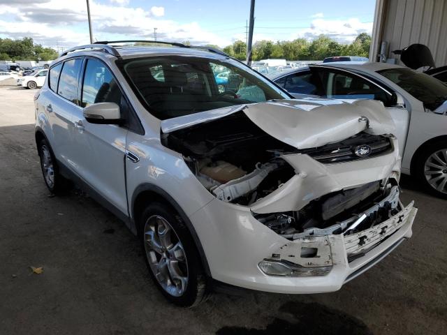 FORD ESCAPE TIT 2016 with VIN 1FMCU9J95GUA19869 - Photo from auction