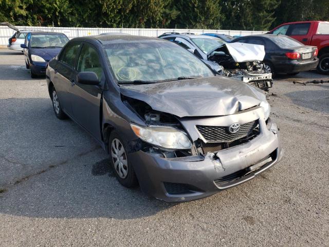 TOYOTA COROLLA BA 2009 with VIN JTDBL40E89J043253 - Photo from auction