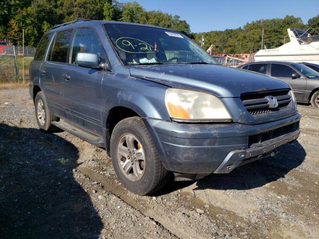 HONDA PILOT EX 2005 с VIN 5FNYF18435B047627 - Фото с аукциона