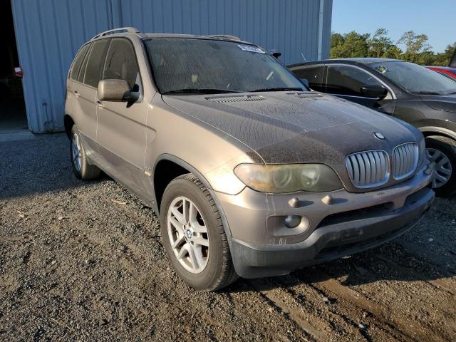 BMW X5 3.0I 2005 with VIN 5UXFA13525LY09881 - Photo from auction