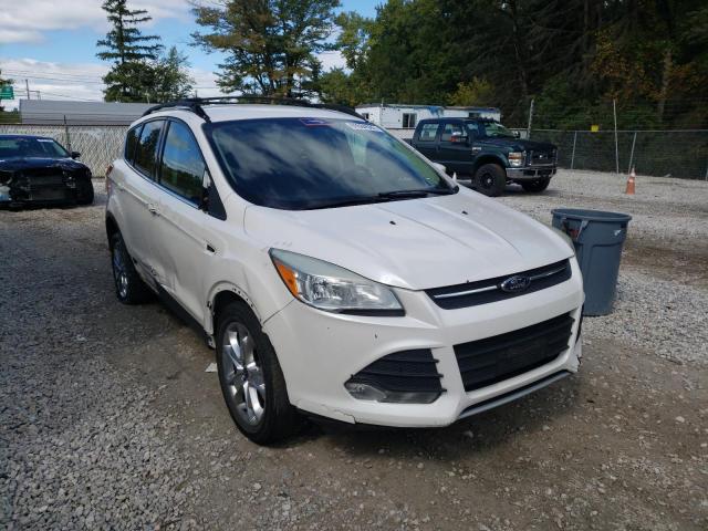 Photo 1 from auction – 2013 FORD ESCAPE SE with VIN 1FMCU9GX7DUA04369