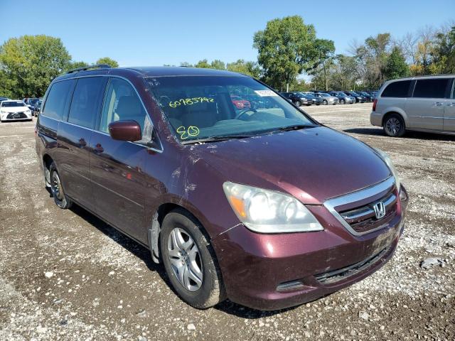 HONDA ODYSSEY EX 2007 with VIN 5FNRL38477B055564 - Photo from auction