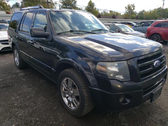 FORD EXPEDITION 2010 with VIN 1FMJU2A54AEA33842 - Photo from auction