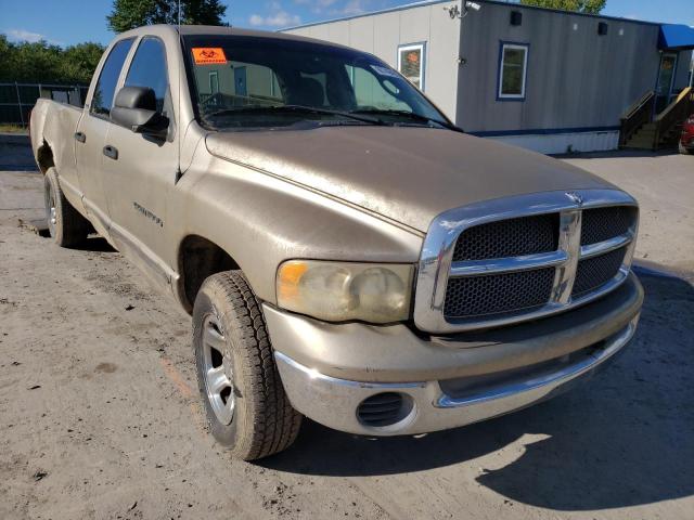 DODGE RAM 1500 2002 with VIN 3D7HU18N02G146710 - Photo from auction