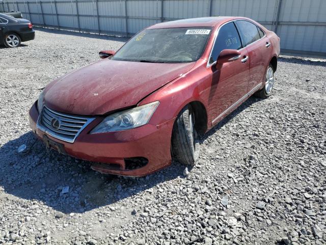 Photo 2 from auction – 2011 LEXUS ES 350 with VIN JTHBK1EG6B2463166