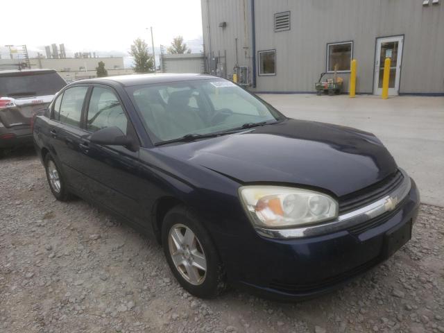 Photo 1 from auction – 2004 CHEVROLET MALIBU LS with VIN 1G1ZT54894F145609