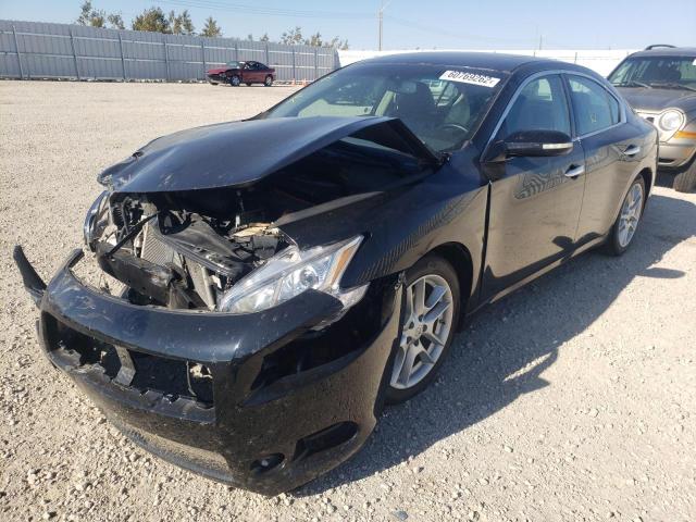 Photo 2 from auction – 2010 NISSAN MAXIMA S with VIN 1N4AA5AP7AC870005