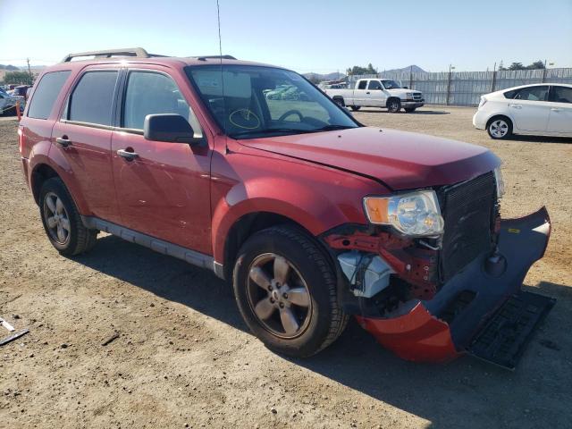 FORD ESCAPE XLT 2010 with VIN 1FMCU0DG1AKB62598 - Photo from auction