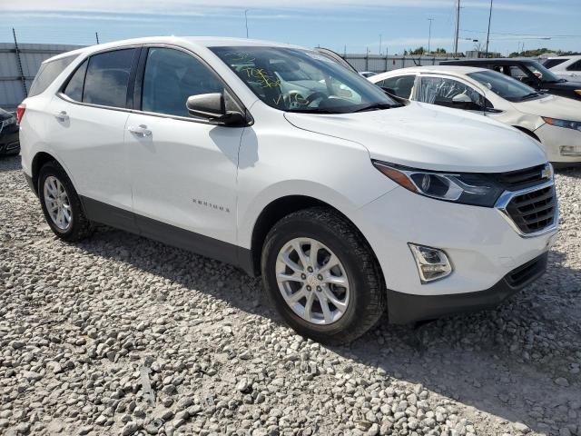 CHEVROLET EQUINOX LS 2019 with VIN 3GNAXSEV3KS554894 - Photo from auction