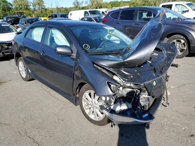 TOYOTA COROLLA BA 2009 with VIN 2T1BU40E59C127104 - Photo from auction
