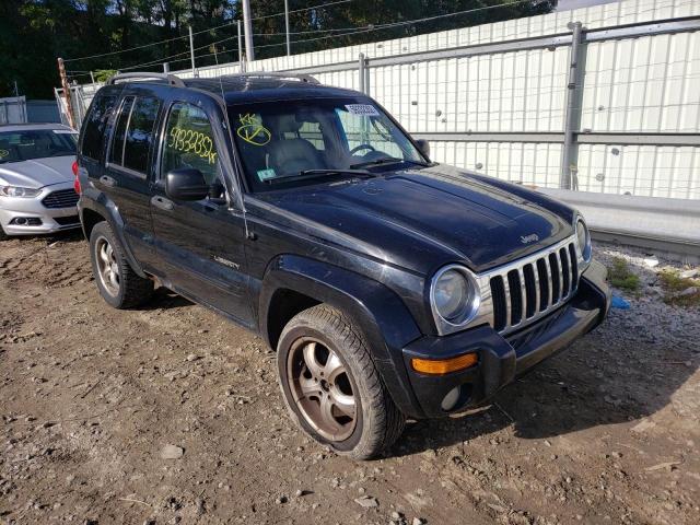 JEEP LIBERTY LI 2004 with VIN 1J4GL58K84W116147 - Photo from auction
