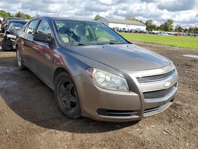 CHEVROLET MALIBU LS 2010 with VIN 1G1ZB5EB9A4143301 - Photo from auction