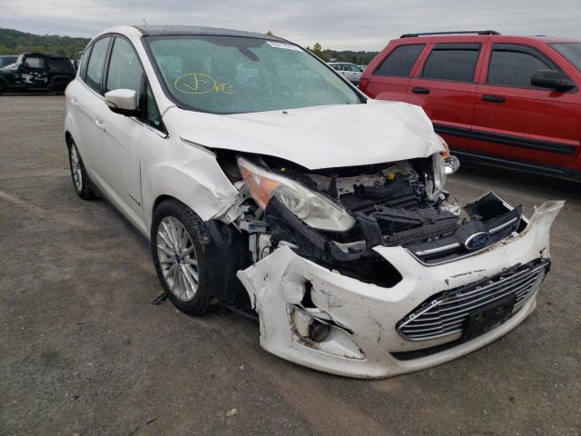 FORD C-MAX SEL 2014 with VIN 1FADP5BU6EL502940 - Photo from auction