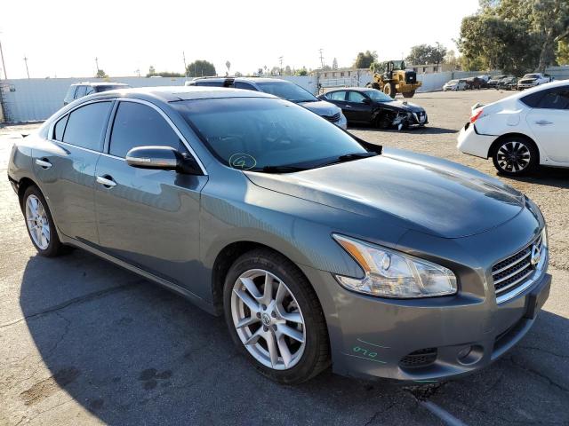 NISSAN MAXIMA S 2009 with VIN 1N4AA51E09C826857 - Photo from auction