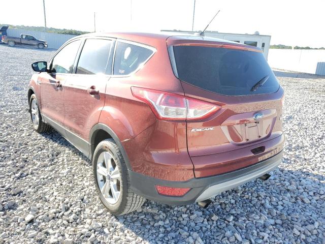 Photo 3 from auction – 2014 FORD ESCAPE SE with VIN 1FMCU0GX5EUB00000