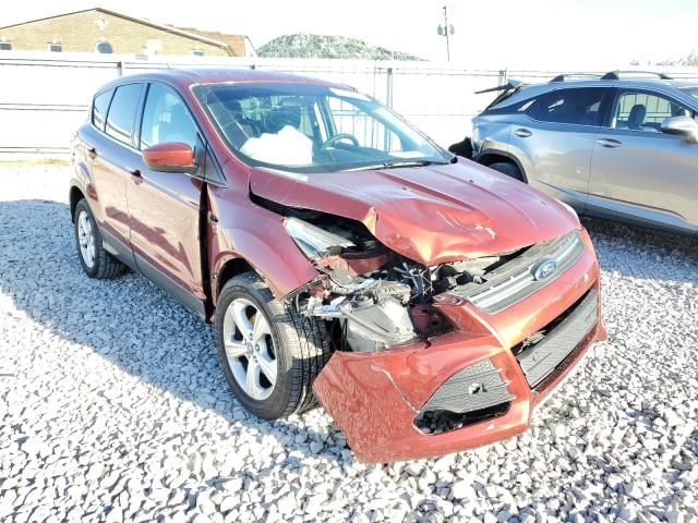 FORD ESCAPE SE 2014 with VIN 1FMCU0GX5EUB00000 - Photo from auction