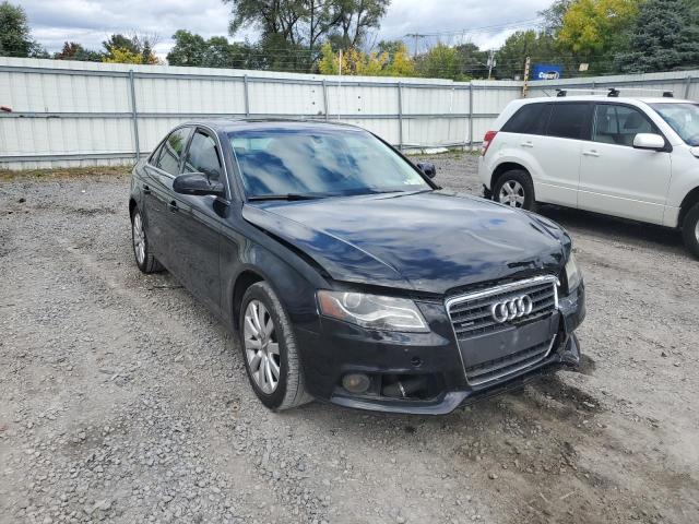 AUDI A4 PREMIUM 2010 with VIN WAUFFAFL4AN035013 - Photo from auction