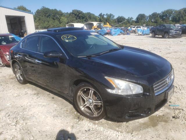 NISSAN MAXIMA S 2010 with VIN 1N4AA5AP9AC834557 - Photo from auction