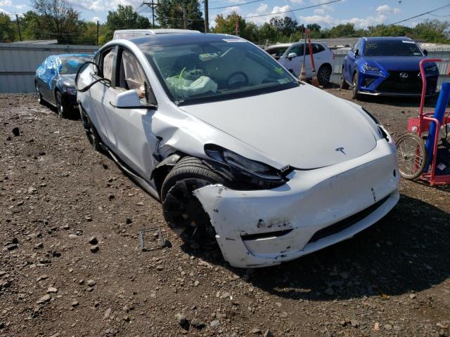 TESLA MODEL Y 2022 with VIN 7SAYGDEE4NF387464 - Photo from auction