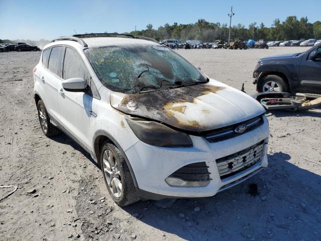 Photo 1 from auction – 2013 FORD ESCAPE SE with VIN 1FMCU0GX0DUB20542