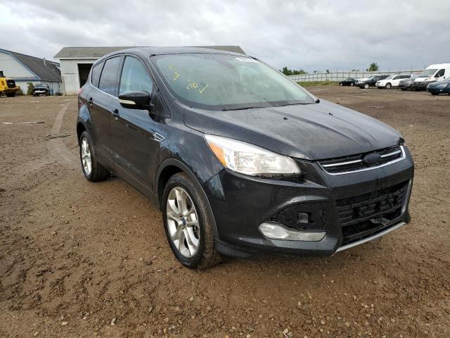 FORD ESCAPE SEL 2013 with VIN 1FMCU9HX0DUC49092 - Photo from auction