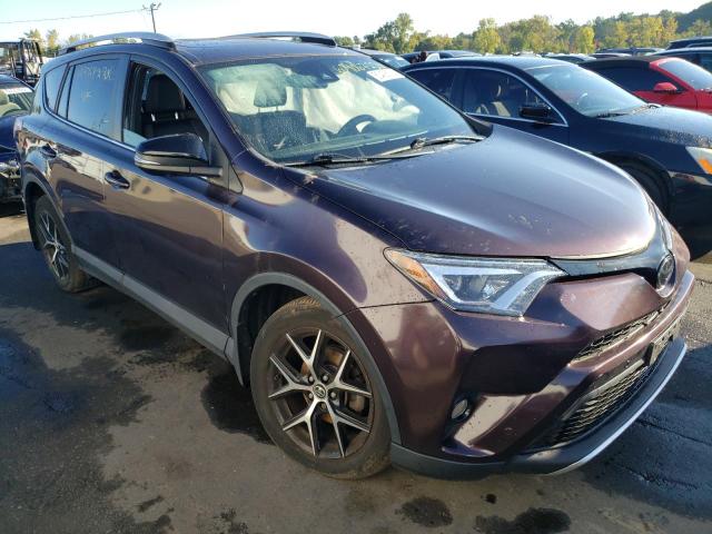 TOYOTA RAV4 SE 2016 with VIN 2T3JFREV6GW474813 - Photo from auction
