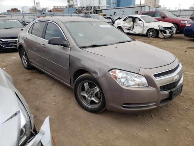 CHEVROLET MALIBU 1LT 2008 with VIN 1G1ZH57B68F191624 - Photo from auction