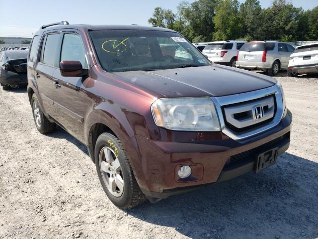 HONDA PILOT EXL 2010 with VIN 5FNYF4H61AB024246 - Photo from auction