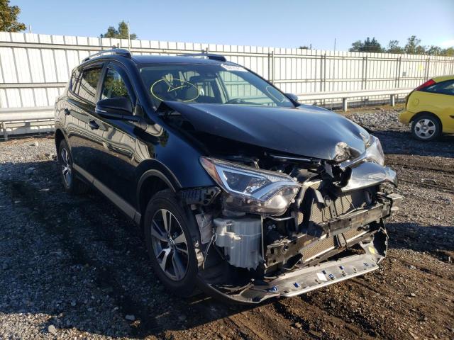 TOYOTA RAV4 XLE 2017 with VIN 2T3RFREV1HW584463 - Photo from auction