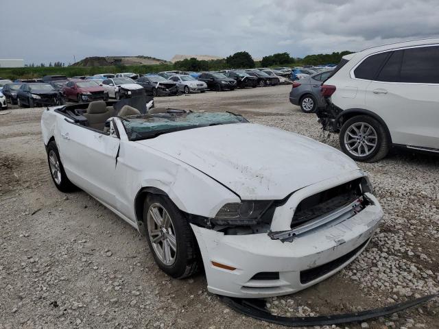 Photo 1 from auction – 2014 FORD MUSTANG with VIN 1ZVBP8EM0E5299804