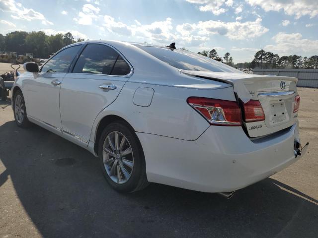 Photo 3 from auction – 2010 LEXUS ES 350 with VIN JTHBK1EG2A2393681