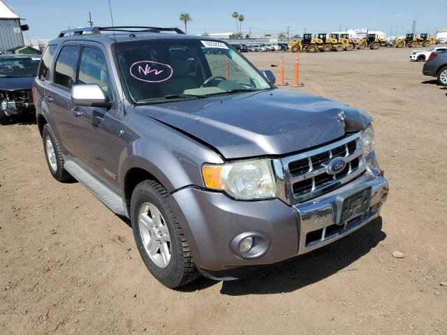 FORD ESCAPE HEV 2008 with VIN 1FMCU59H18KC69174 - Photo from auction