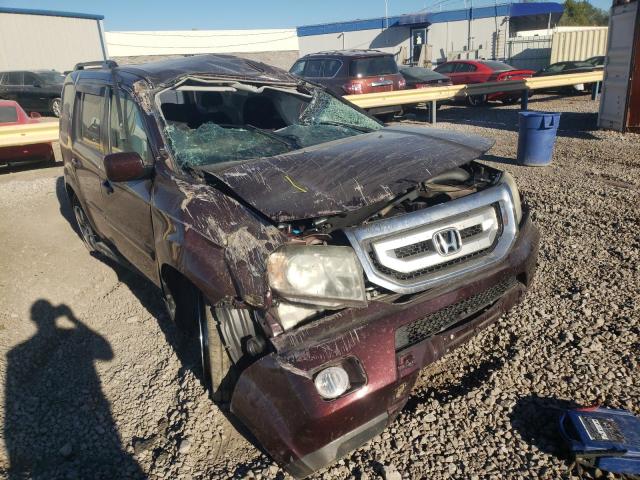HONDA PILOT EX 2010 with VIN 5FNYF3H42AB013720 - Photo from auction