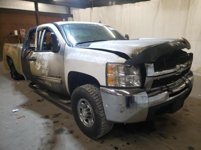 CHEVROLET SILVERADO 2010 with VIN 1GC4KXBGXAF155684 - Photo from auction