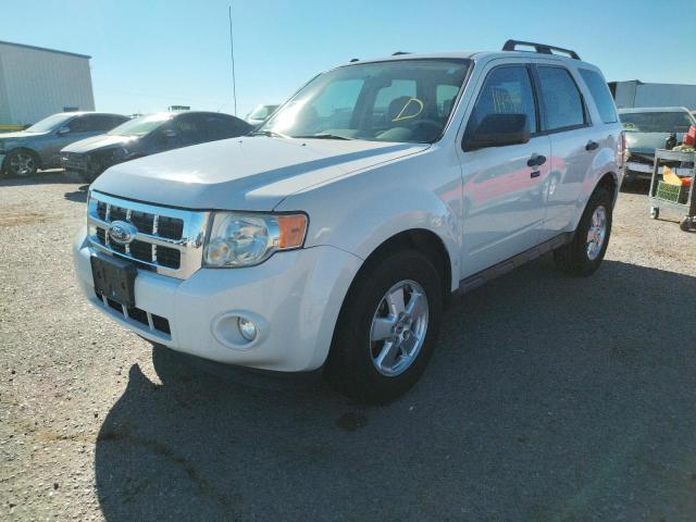 Photo 2 from auction – 2010 FORD ESCAPE XLT with VIN 1FMCU9DG3AKD27135