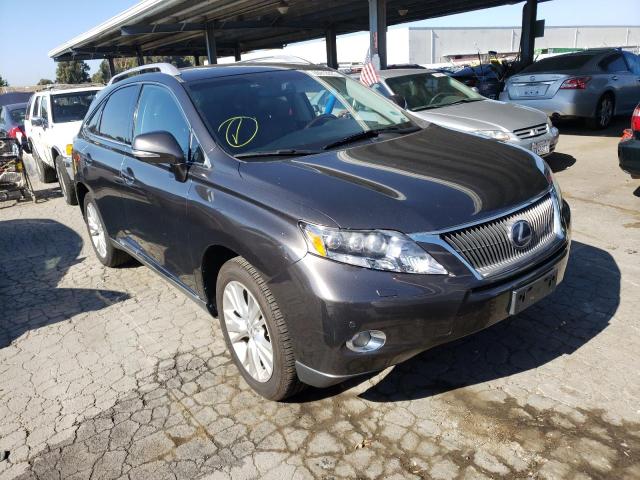 LEXUS RX 2010 with VIN JTJBC1BA4A2406782 - Photo from auction