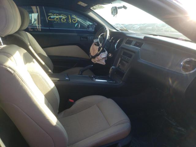 Photo 5 from auction – 2013 FORD MUSTANG with VIN 1ZVBP8AM8D5219640