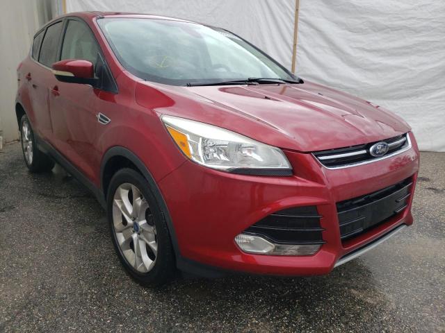 FORD ESCAPE SEL 2013 with VIN 1FMCU0H96DUA30828 - Photo from auction