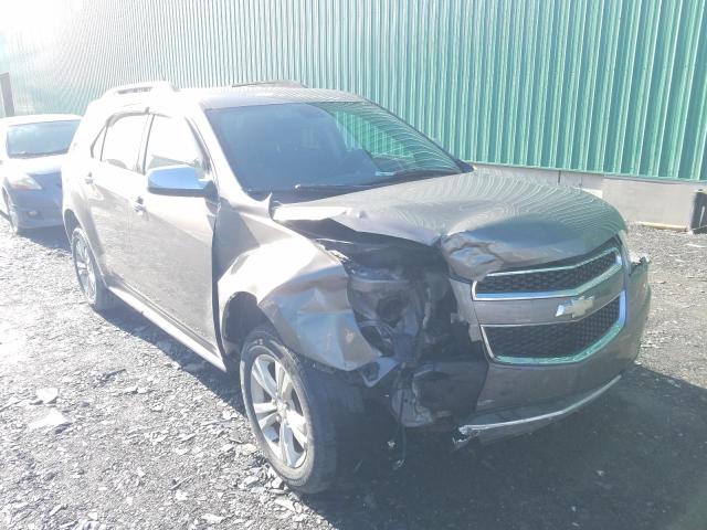 CHEVROLET EQUINOX LT 2010 with VIN 2CNFLNEW2A6332411 - Photo from auction