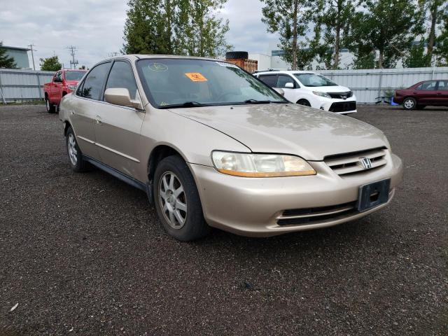 HONDA ACCORD SE 2002 with VIN 1HGCG567X2A817355 - Photo from auction