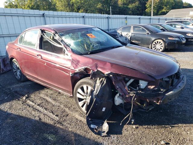 HONDA ACCORD EXL 2011 with VIN 1HGCP2F88BA048345 - Photo from auction