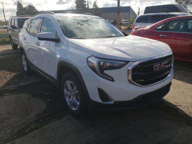 GMC TERRAIN SL 2020 with VIN 3GKALTEV4LL176773 - Photo from auction
